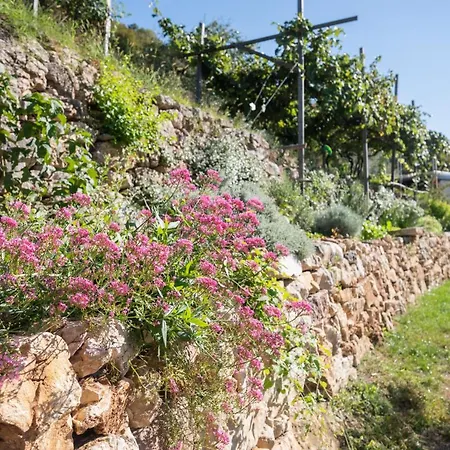 Ca' Stella Garda וילה ברנצונה סול גארדה