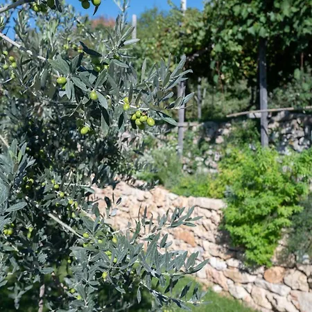 Ca' Stella Garda 别墅 布雷佐内加尔达