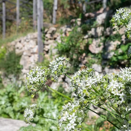 Ca' Stella Garda * Brenzone sul Garda