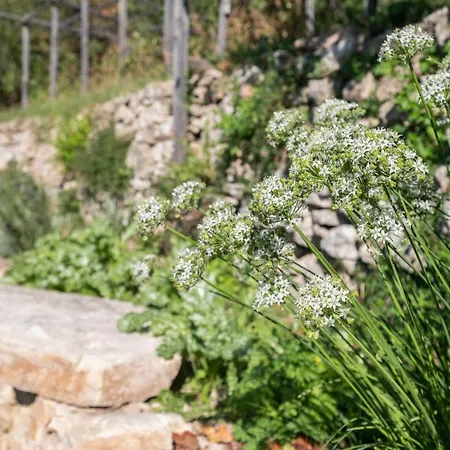 Castelletto Nature Estate *